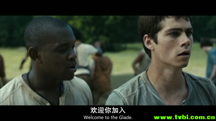 [美国][科幻][移动迷宫.The.Maze.Runner.2014][DVD-MKV/1.5G][中英双语中英字幕] ...