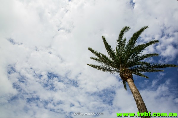 wKgB3FG5_VCAWAzoAAbVznbsHI453.groupinfo.w600.jpeg
