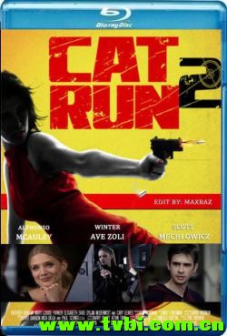 [美国][动作][性感女特工2 2014][MP4/752.63 MB][英语无字]