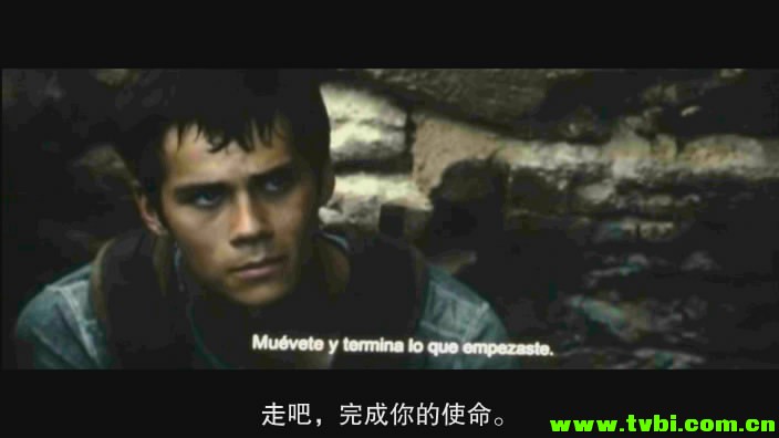 [美国][科幻/动作][移动迷宫/迷宫行者][清晰TS-RMVB/中字]