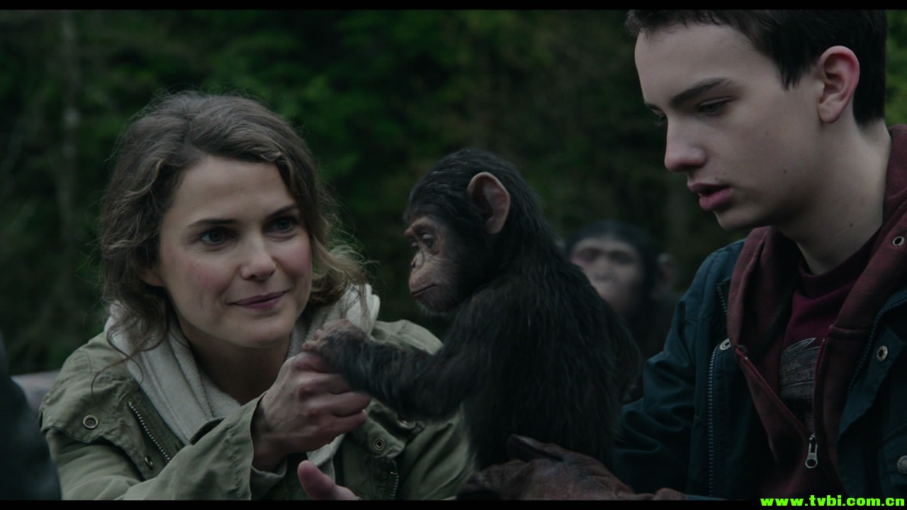 [美国][动作/剧情/科幻][猩球崛起2][BD-mkv/3.94G][英语国语双音轨] ...