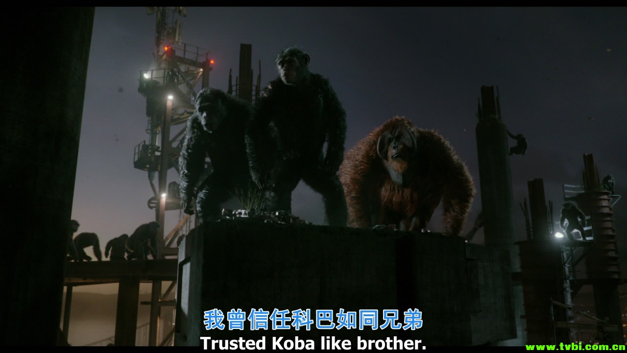 [美国][动作/剧情/科幻][猩球崛起2][BD-mkv/3.94G][英语国语双音轨] ...