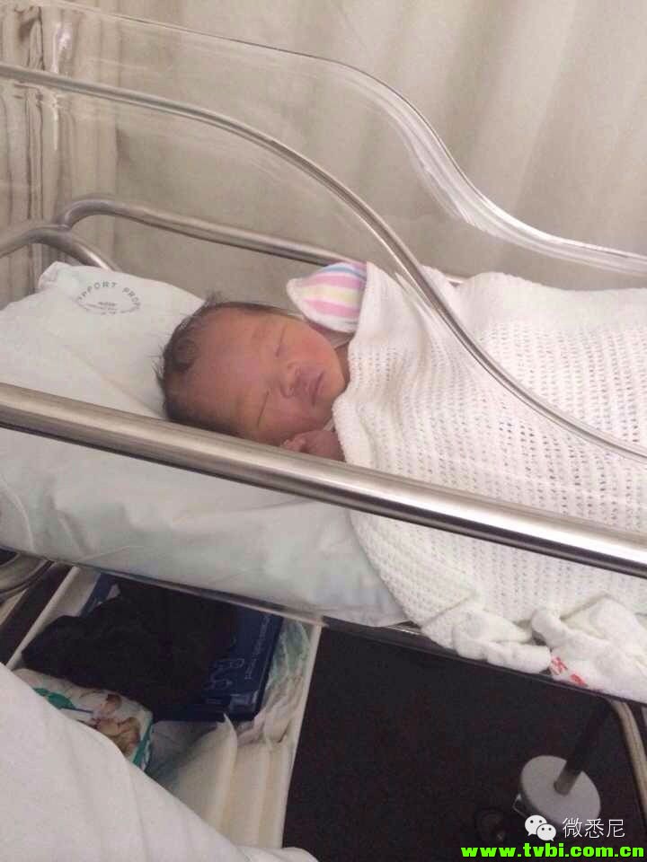 剖腹产全程拍摄，看完后震惊了！附澳洲生产经验(请转给需要的人) ...