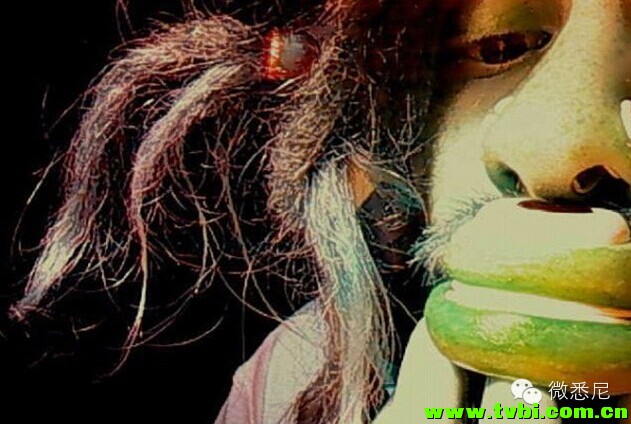 有小伙纸非常喜欢澳洲鸭嘴兽。。于是他花了N年时间把自己改造成酱紫。。 ...