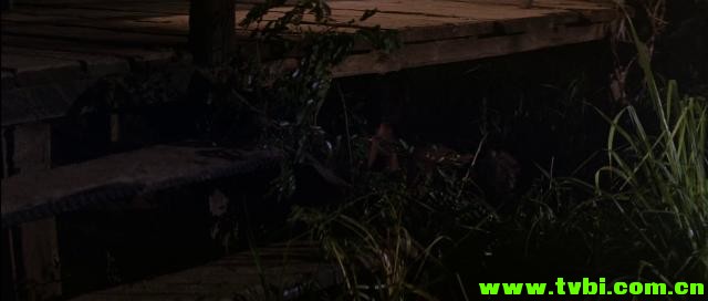 第一滴血2.Rambo.First.Blood.Part.II.1985.1080p.BluRay.x264-CiNEFiLE