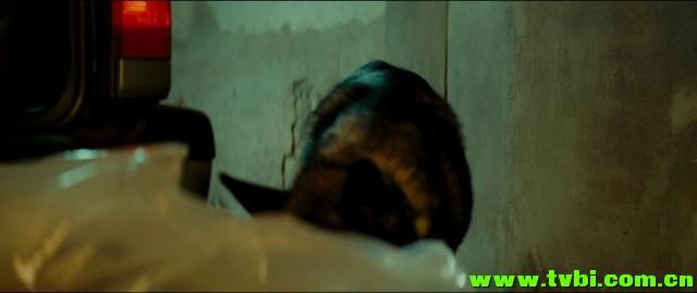 别惹我.The.Family.2013.1080p.BluRay.x264-SPARKS