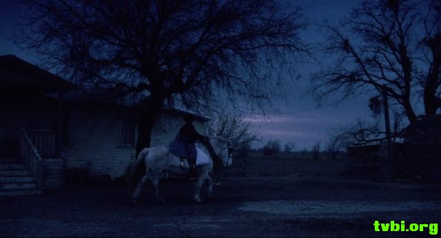 与爱何干.Whats.Love.Got.to.Do.with.It.1993.1080p.BluRay.x264-PSYCHD