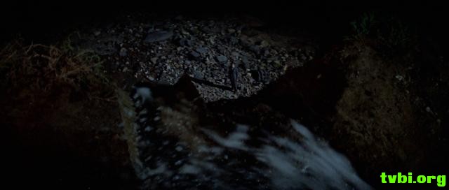 唐人街.Chinatown.1974.1080p.BluRay.X264-AMIABLE