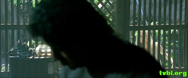 第一滴血4.Rambo.2008.Extended.Cut.1080p.BluRay.x264-LCHD