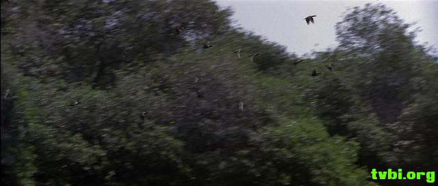 第一滴血2.Rambo.First.Blood.Part.II.1985.1080p.BluRay.x264-CiNEFiLE