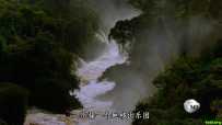 竞相灭绝