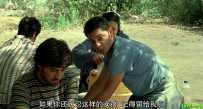关于伊丽