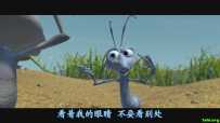 虫虫危机/虫虫总动员