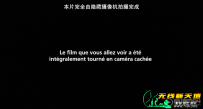 憨憨公主的心思