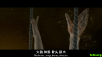 维克多·弗兰肯斯坦