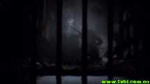 侠盗王子罗宾汉.Robin.Hood.Prince.of.Thieves.1991.1080p.BluRay.x264-FSiHD