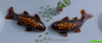 舌尖上的新年