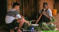 [台湾][剧情][冰毒][DVD-RMVB/国语中字]