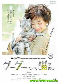 咕咕是一只猫