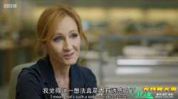 哈利波特：一段魔法史